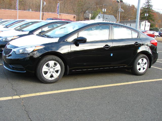 2014 Kia Forte Elk Conversion Van