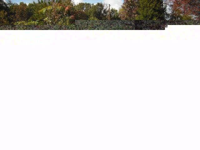 2004 Kia Optima Unknown