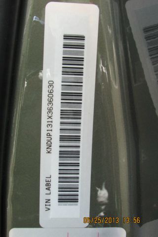 2003 Kia Sedona Elk Conversion Van