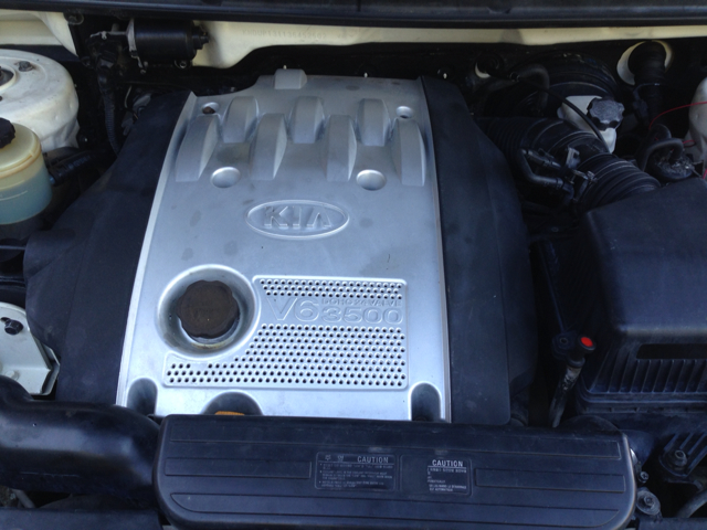 2003 Kia Sedona Elk Conversion Van