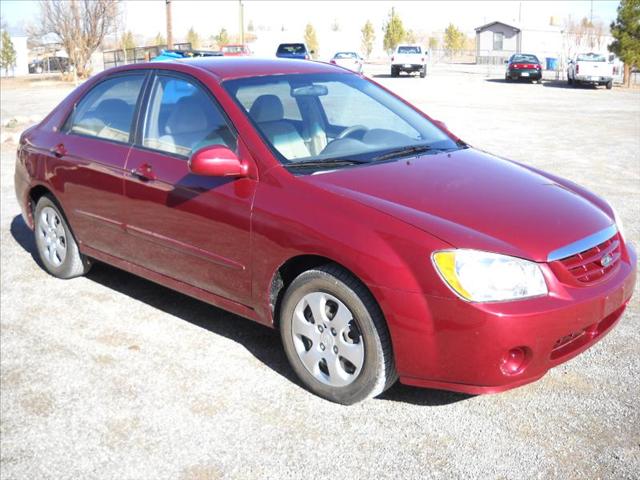 2004 Kia Spectra Elk Conversion Van