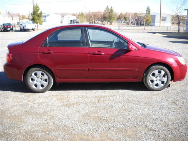 2004 Kia Spectra Elk Conversion Van