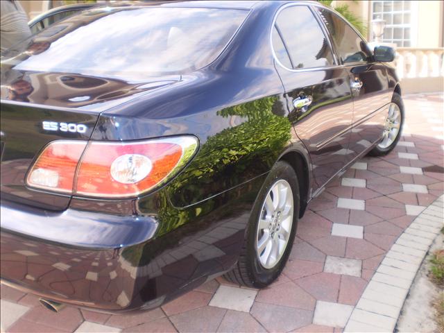 2003 Lexus ES 300 Unknown