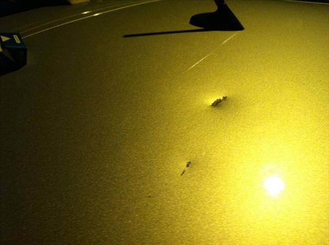 2007 Mazda Mazdaspeed3 GSX