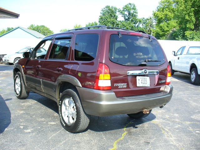 2001 Mazda Tribute Shelby GT5