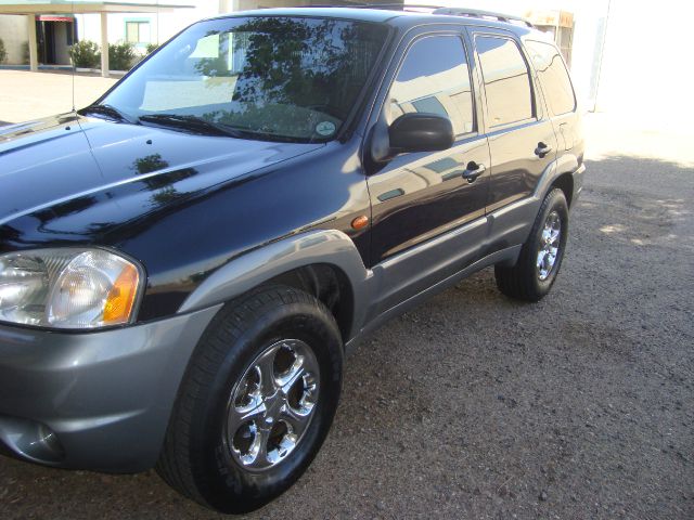 2001 Mazda Tribute Shelby GT5