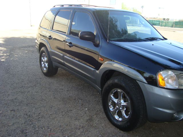 2001 Mazda Tribute Shelby GT5
