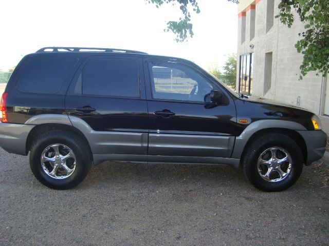 2001 Mazda Tribute Shelby GT5