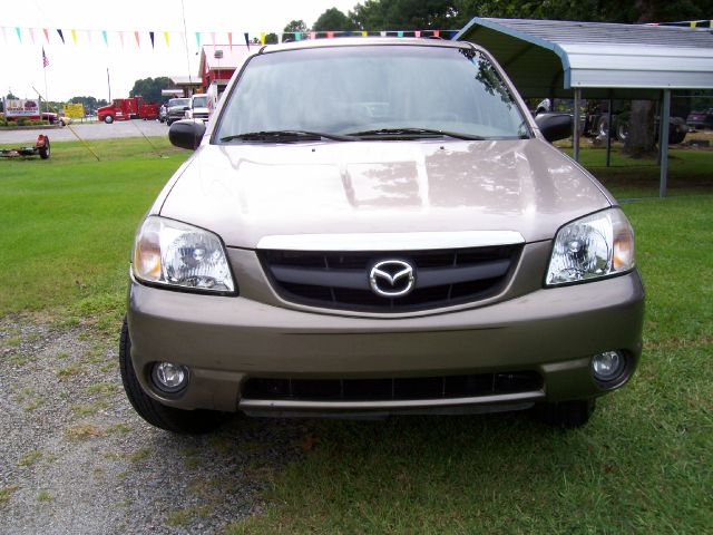 2002 Mazda Tribute Elk Conversion Van