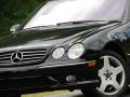 2003 Mercedes-Benz CL-Class SLE PLOW