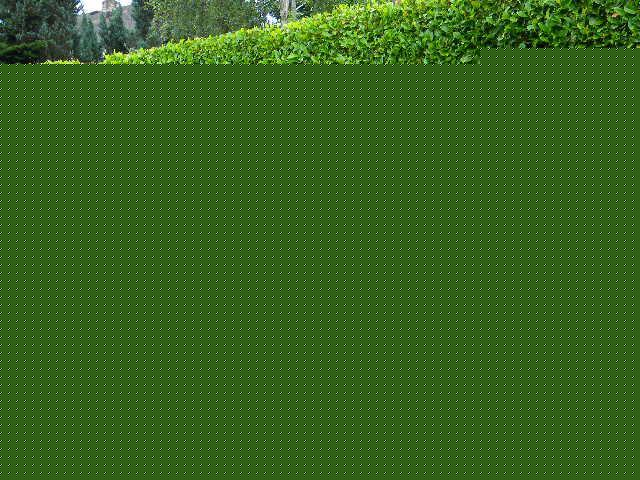 2000 Mercedes-Benz CLK Class Unknown