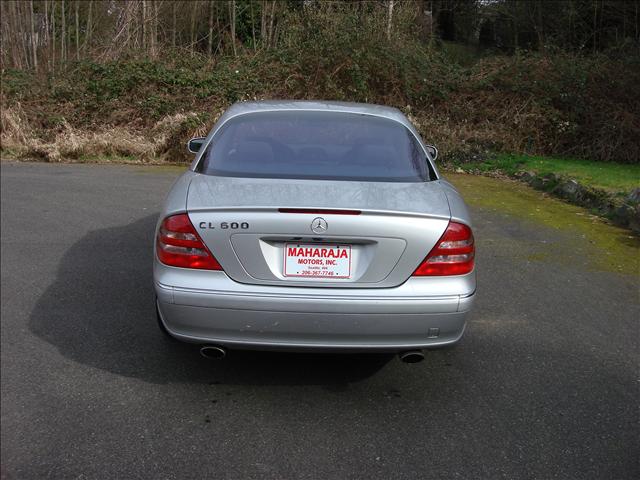 2002 Mercedes-Benz CL Class SLE PLOW