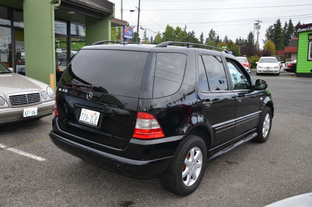2001 Mercedes-Benz M-Class S Touring 4-door