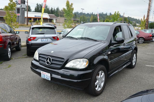2001 Mercedes-Benz M-Class S Touring 4-door
