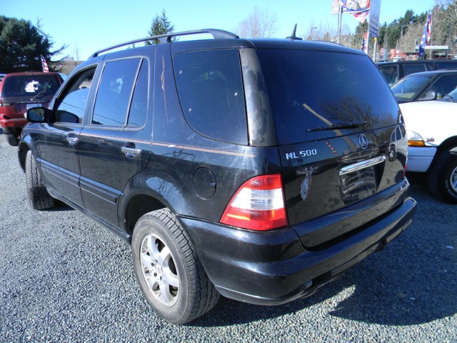 2002 Mercedes-Benz M-Class Supercharged