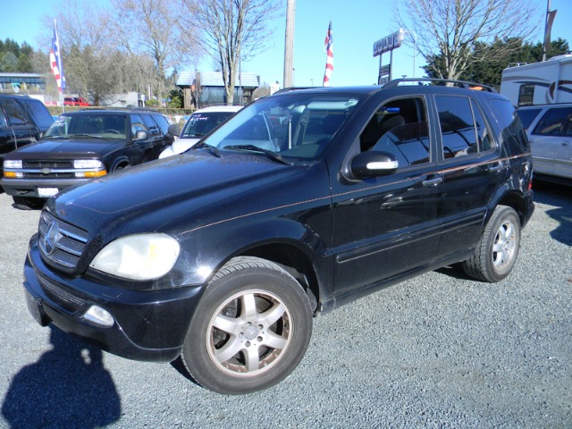 2002 Mercedes-Benz M-Class Supercharged