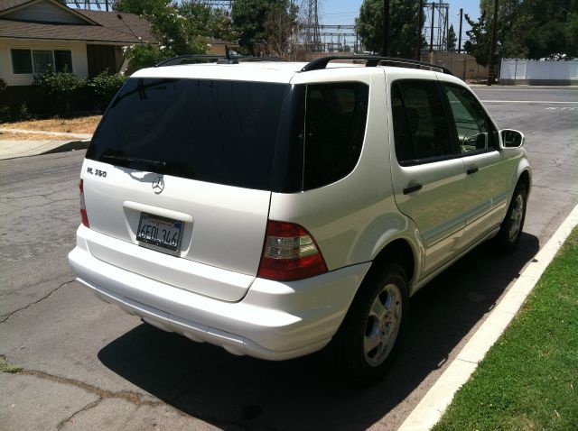 2003 Mercedes-Benz M-Class T6 Turbo AWD