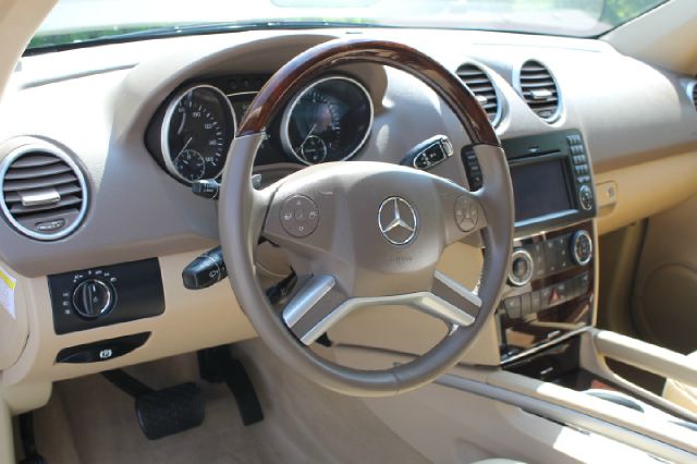 2010 Mercedes-Benz M-Class Gl 2x2