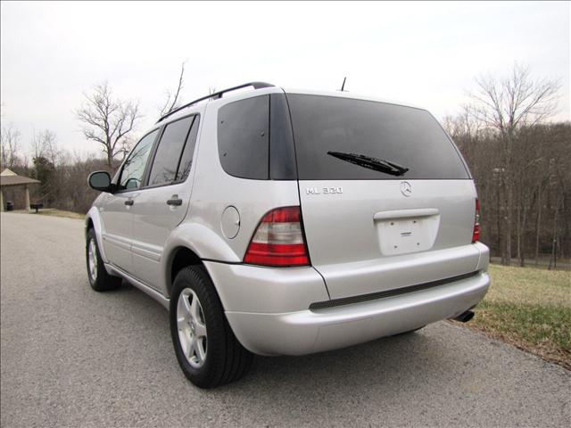 2001 Mercedes-Benz M Class XLT Work Body