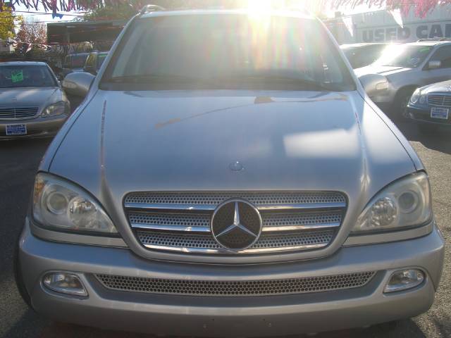 2004 Mercedes-Benz M Class 1500 4x4 LS