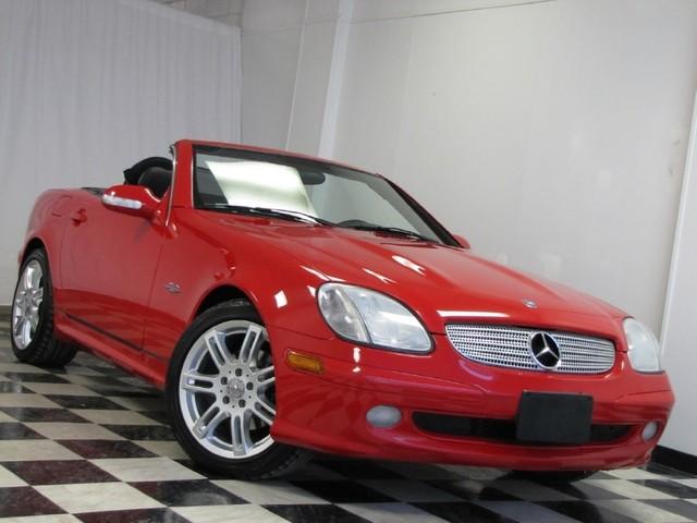 2004 Mercedes-Benz SLK Class Lovebug