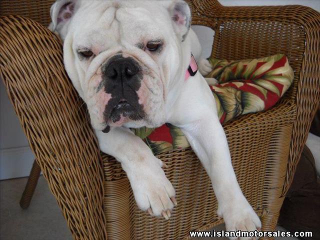 2004 Mercury Grand Marquis XLS