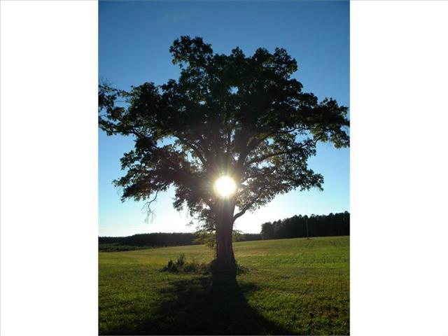 2012 Nissan Frontier Unknown