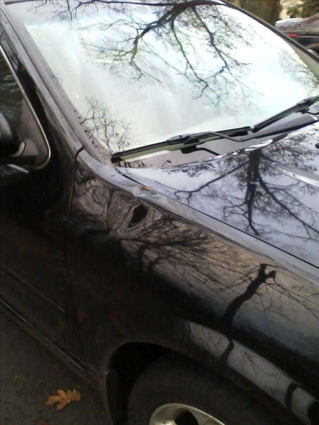 2003 Nissan Maxima SE