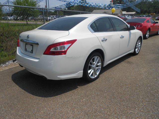 2009 Nissan Maxima 4.6L Eddie Bauer