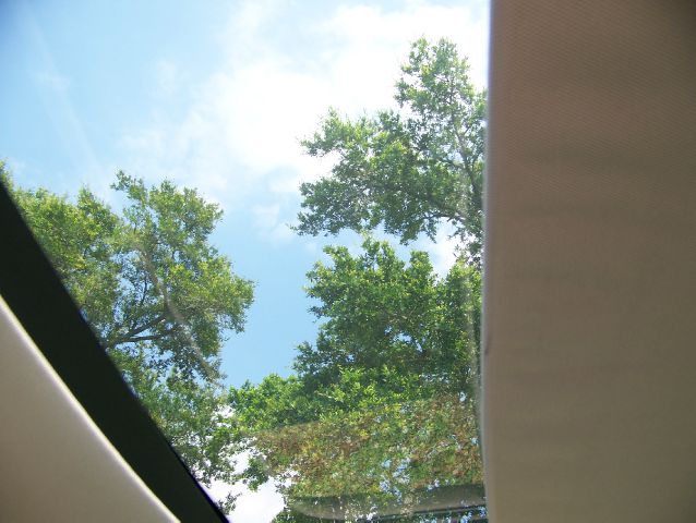 2009 Nissan Maxima LT Trailblazer Package