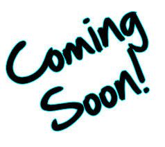 2012 Nissan Rogue Lariat 4x4 Diesel