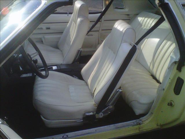 1977 Oldsmobile CUTLASS Sienna