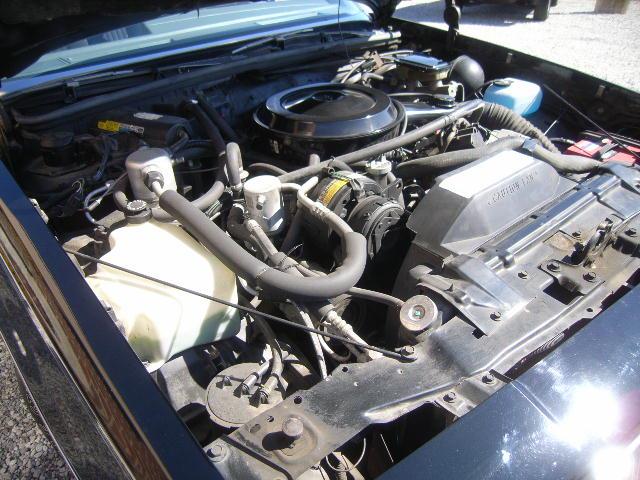 1986 Oldsmobile Cutlass Supreme Durango