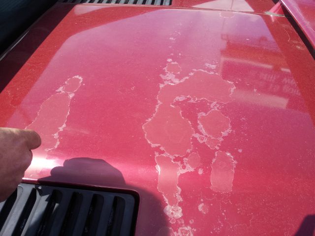 1987 Pontiac Fiero Passion