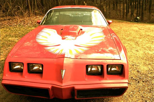 1979 Pontiac Firebird Bucket Lift