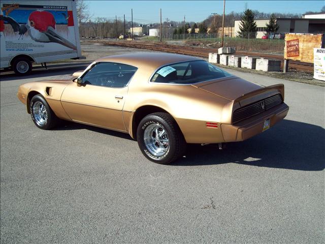 1981 Pontiac Firebird Ebony (19c)
