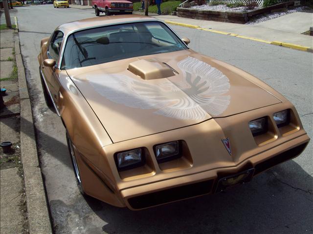 1981 Pontiac Firebird Ebony (19c)