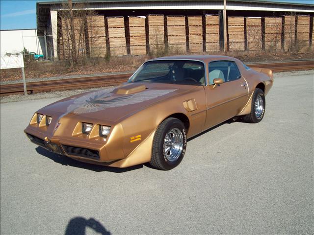 1981 Pontiac Firebird Ebony (19c)
