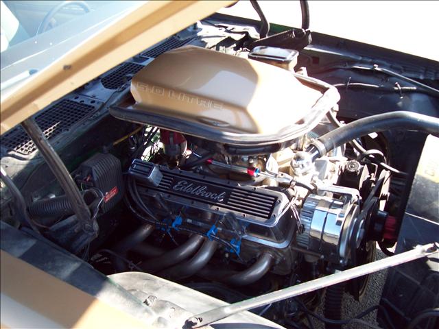 1981 Pontiac Firebird Ebony (19c)