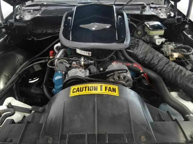 1981 Pontiac Firebird 4dr Sdn V6 CXL