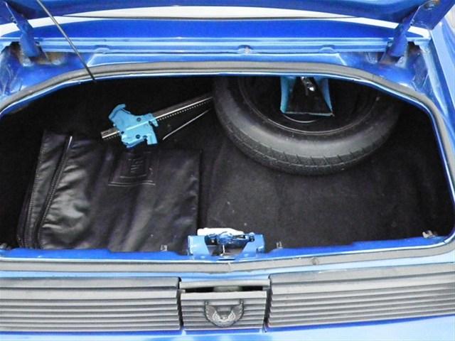 1981 Pontiac Firebird SW2