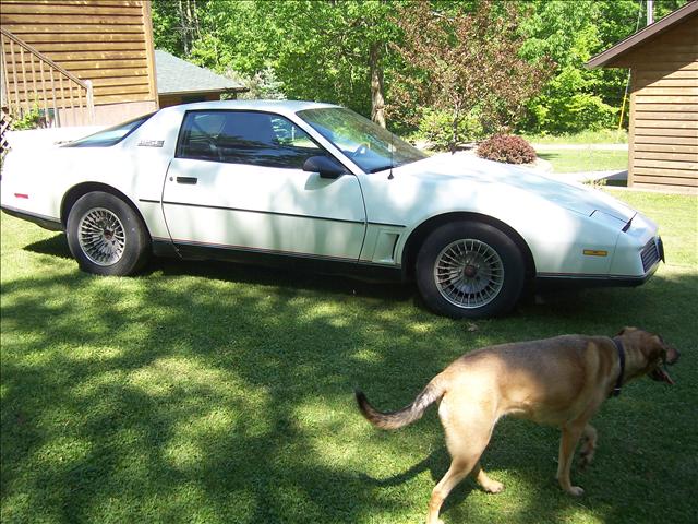 1982 Pontiac Firebird XT Limited Turbo