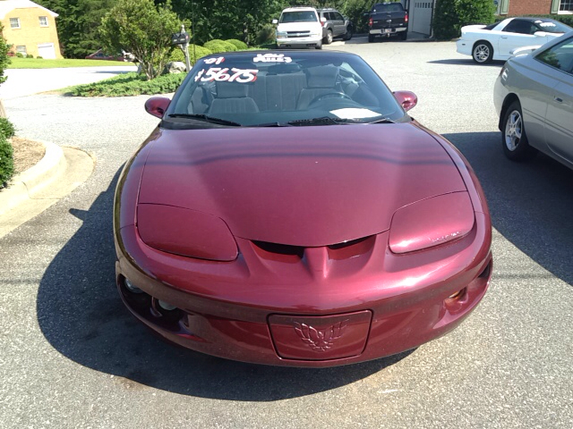 2001 Pontiac Firebird Conv. VERY RARE
