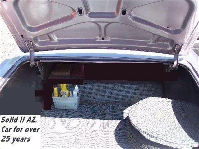 1965 Pontiac Lemans Reg Cab 133 WB 2WD