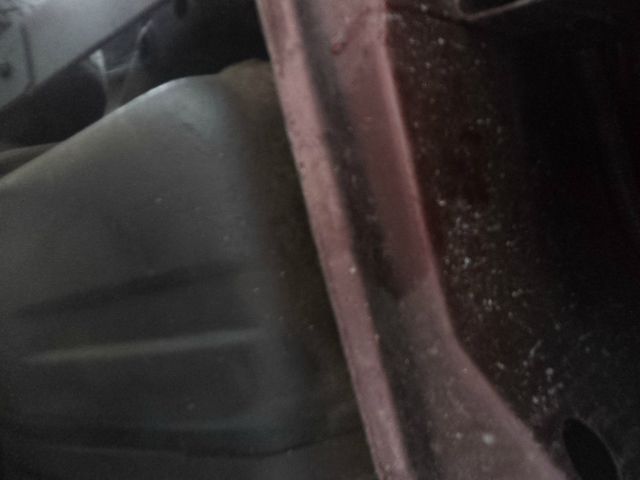 1981 Pontiac TRANS AM LS EXT