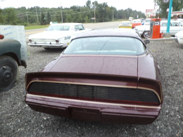 1981 Pontiac TRANS AM LS EXT