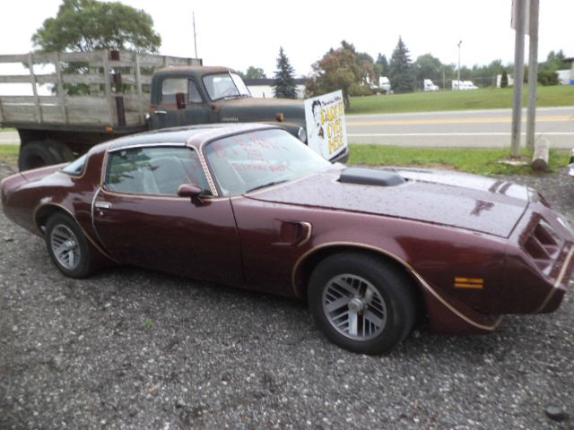 1981 Pontiac TRANS AM LS EXT