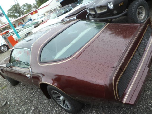 1981 Pontiac TRANS AM LS EXT