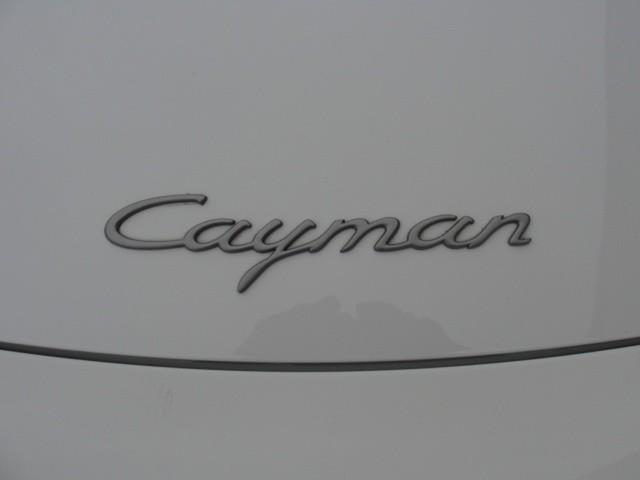2010 Porsche Cayman Unknown