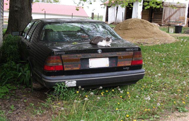 1991 Saab 9000 Version 2